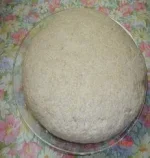 my pictuers 021.webp