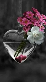 yI8FkDWf_w720_h1280_s162113.webp