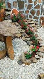 FB_IMG_1569010678458.webp