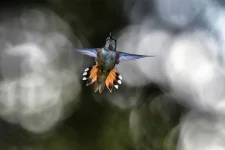 B5371B8D-4BC3-40C4-B2C9-7FB93634D299.webp