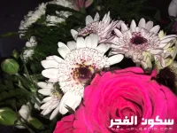 IMG_8504.webp