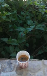 20191003_081218-1.webp
