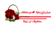 كككك8.gif