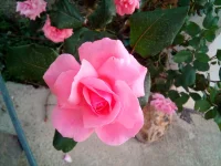IMG_20190923_173748.webp