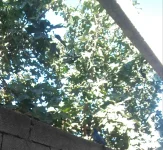 20191028_144642-1.webp