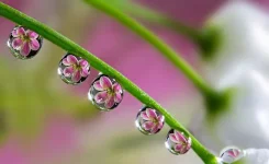 11.webp