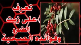 1572524491320.webp 1572524491320.webp