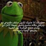 1572629526464.webp