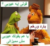 1572629886763.webp