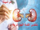 التهاب المسالك البولية.jpg