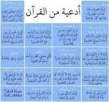 1573305005788.webp