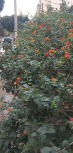 20191121_161718-1.webp