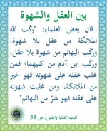 1575544779179.webp