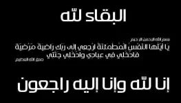 333655.webp
