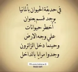 1579892952616.webp
