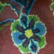 سيف الاسلام سيد