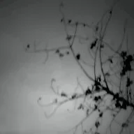 Bṏȳ Ṅǻṃ ḢǻṃǻDǻ