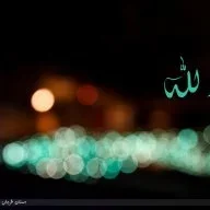 وسيم عقل و زين