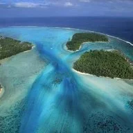 محمد التبسي