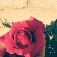 أميرة بحجابي