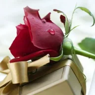 شهد الوجدان