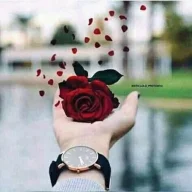 فردوس الجنة 1