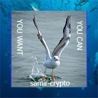 samir-crypto
