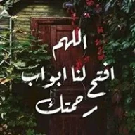 محمد عبد الودود