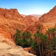 مصطفى هاشمي