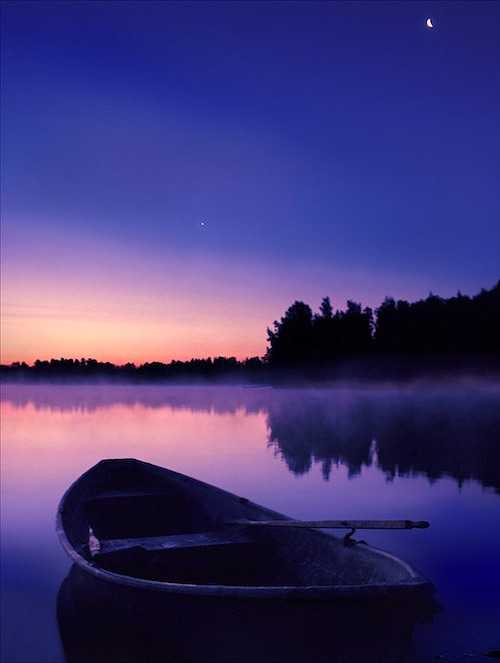 tumblr_ms3c2f2fc21rqx86wo1_r1_500.png