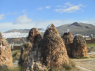 dsc00019.jpg
