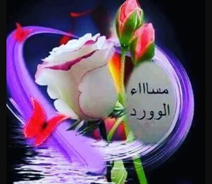 image129318.html