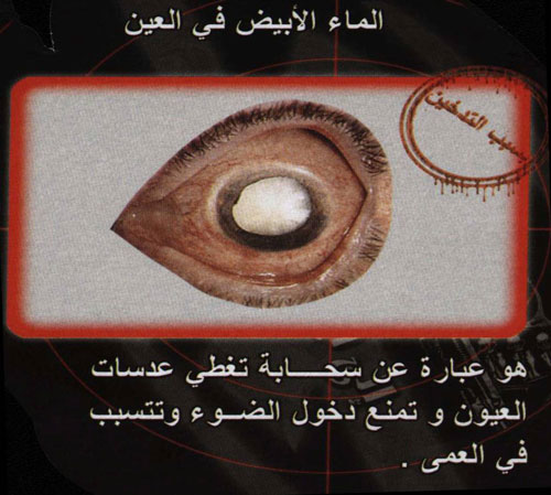 09.jpg