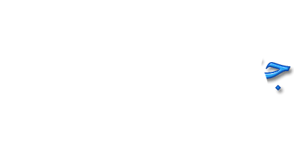 q45.gif