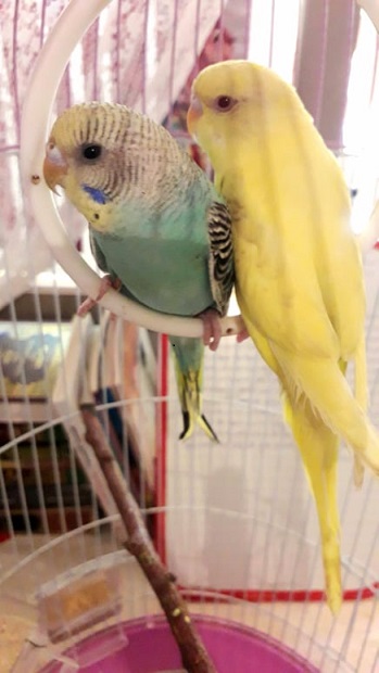 image131638.html