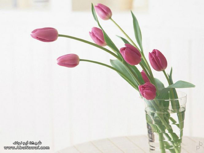 flower2.jpg