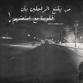 tumblr_mk3w1iJJi81s6mx86o1_400.jpg