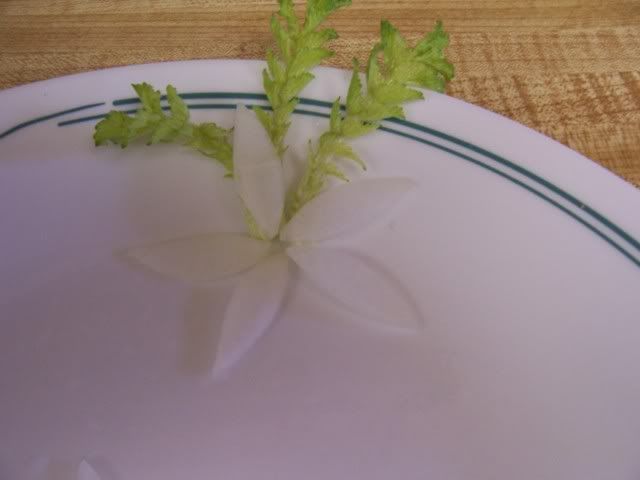 100_5378.jpg