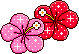 667219ckk4vhtq1q.gif