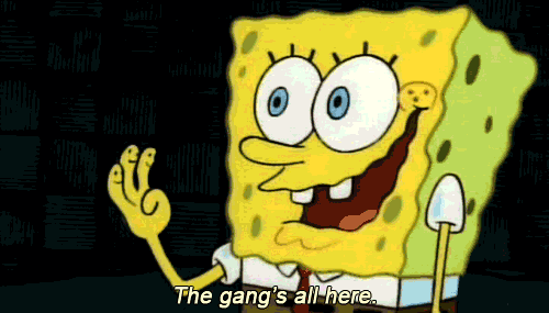 tumblr_mpb1rqCyTD1sni8b8o1_500.gif