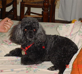 gwendolyn_11ans.jpg