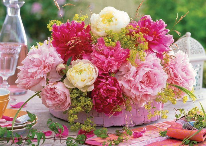 image130036.html