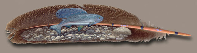 art_feather24.jpg