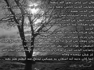 post-17907-1166005296.jpg