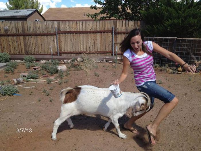 acid_picdump_16.jpg