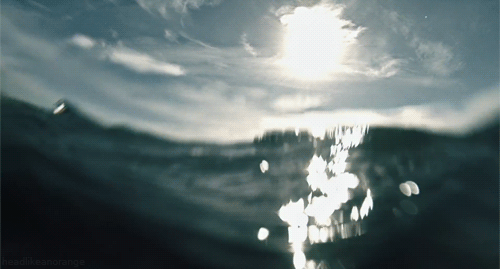 orange-8.gif