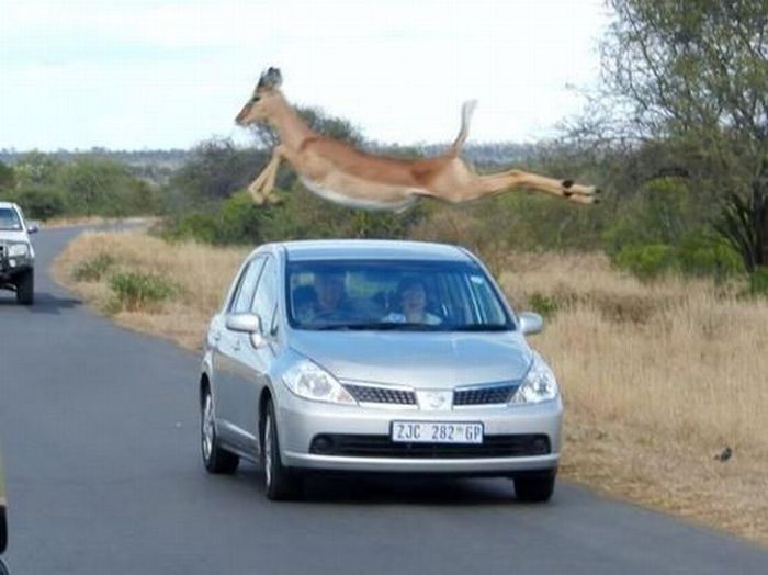 acid_picdump_58.jpg