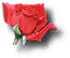 rose_rouge1.gif