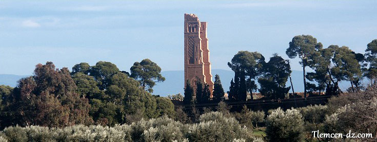 vue-mansourah-tlemcen.jpg