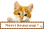 62312813.gif